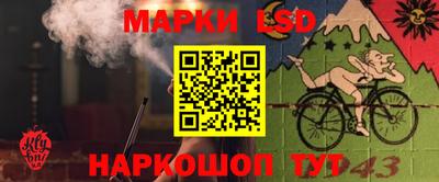 ECSTASY Кунгур