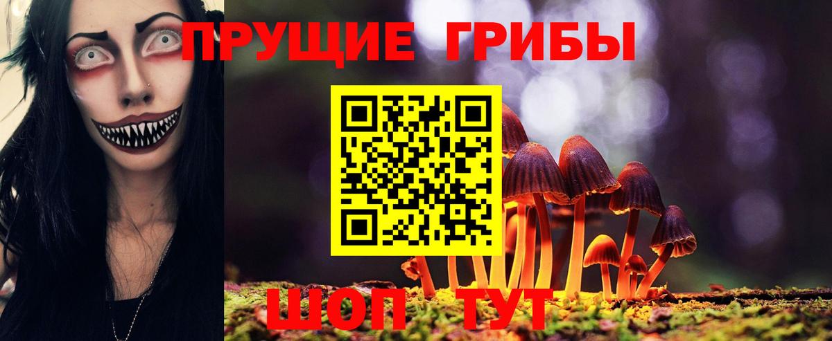 Галлюциногенные грибы прущие грибы  купить закладку  Вход с VPN  Волгодонск  Галлюциногенные грибы мухоморы 